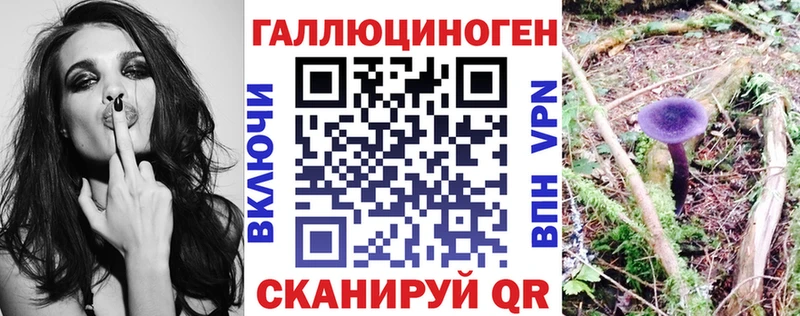 Галлюциногенные грибы Psilocybe  Венёв 